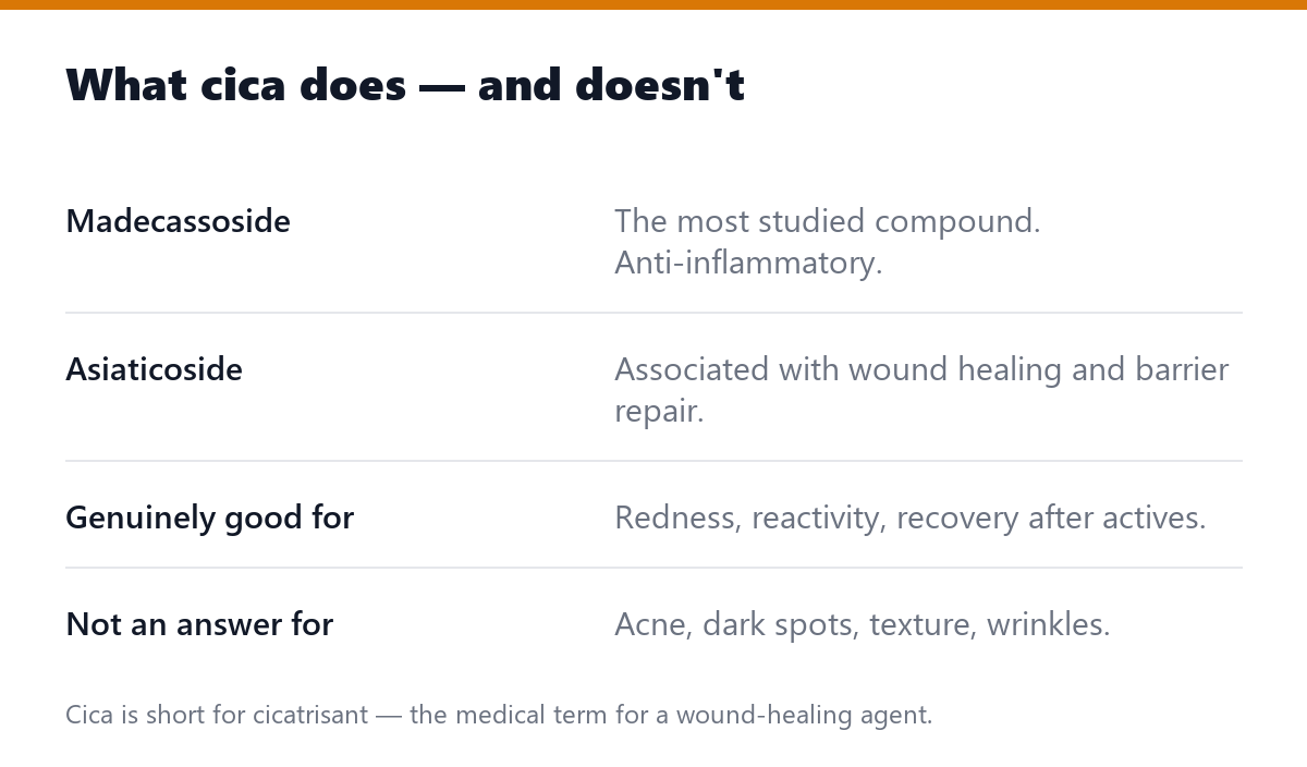 What cica does — and doesn't