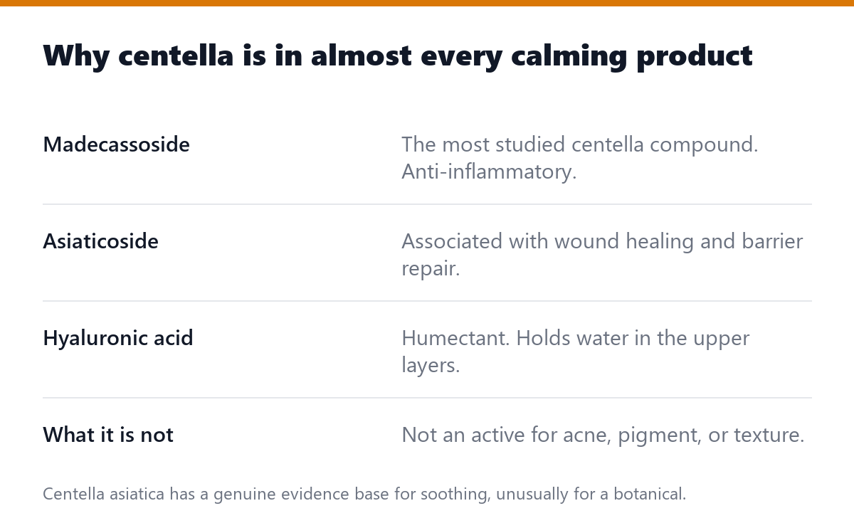 Why centella is in almost every calming product