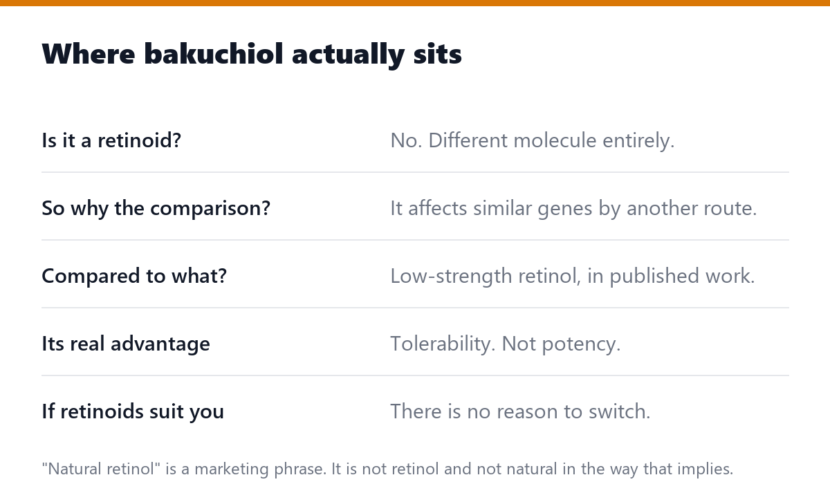 Where bakuchiol actually sits