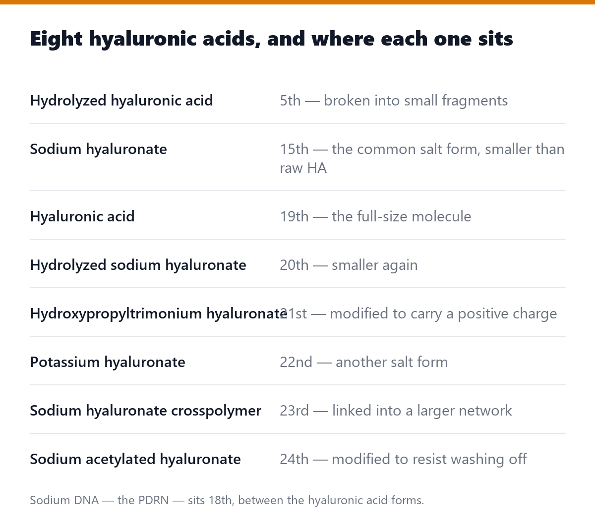 Eight hyaluronic acids, and where each one sits