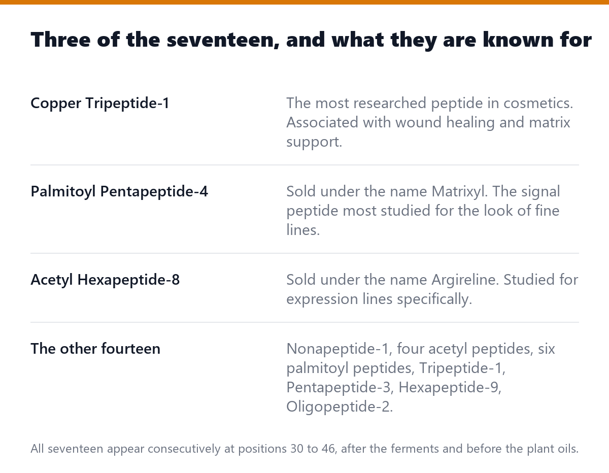 Three of the seventeen, and what they are known for